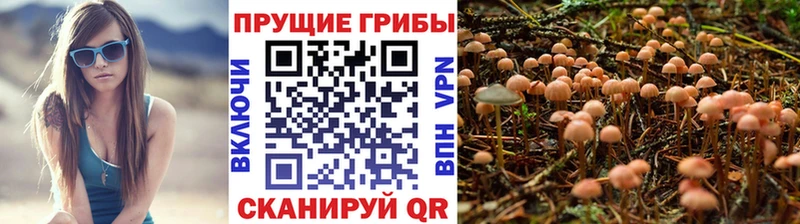 Купить  Вологда  Псилоцибиновые грибы ЛСД 